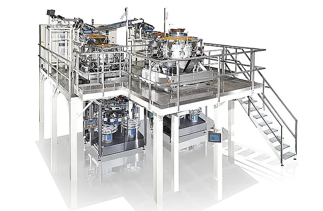 Frozen Food packaging solutions